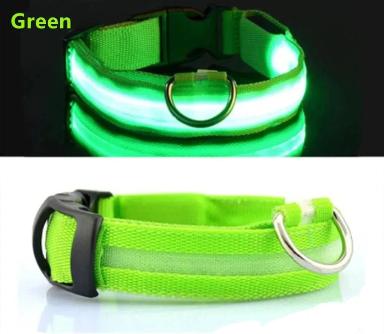 Lupix Glow — Collier LED rechargeable USB (anneau pour laisse)