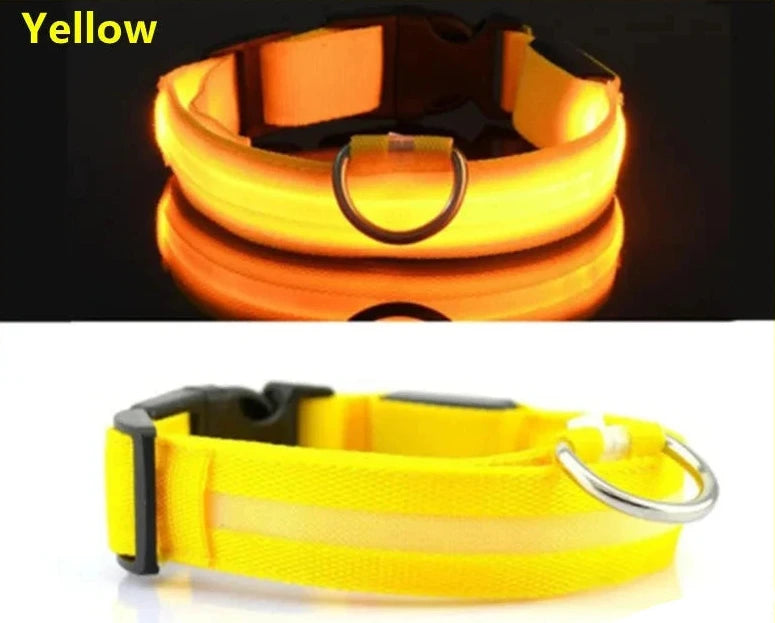 Lupix Glow — Collier LED rechargeable USB (anneau pour laisse)