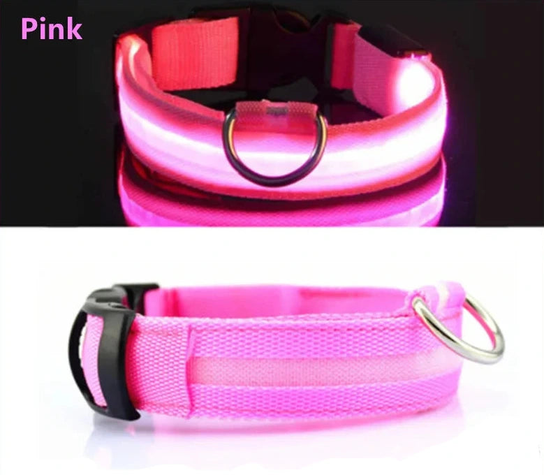 Lupix Glow — Collier LED rechargeable USB (anneau pour laisse)